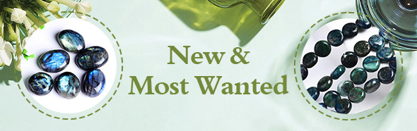 Recommended New Items