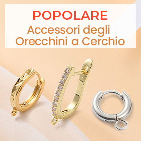Accessori degli Orecchini a Cerchio