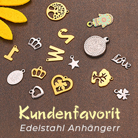 Edelstahl Anhängerr