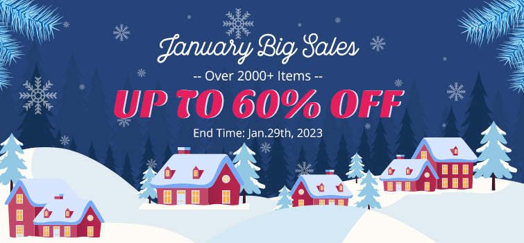 January Big Sales